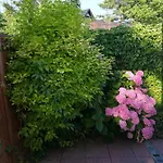 Patio Privat bolig Stegna (Pomerania)
