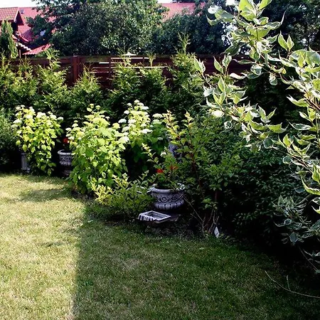 Patio * ستيغنا