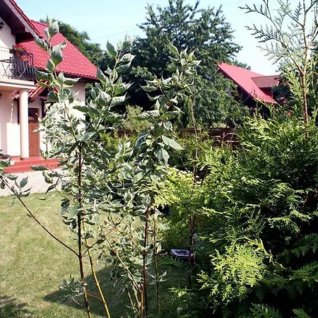 Patio *