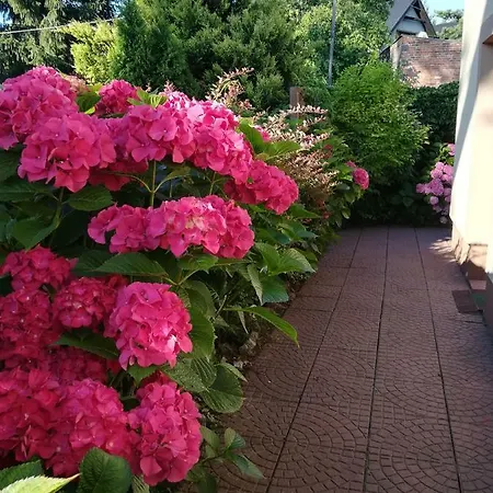Rum i privatbostad Patio Stegna (Pomerania)