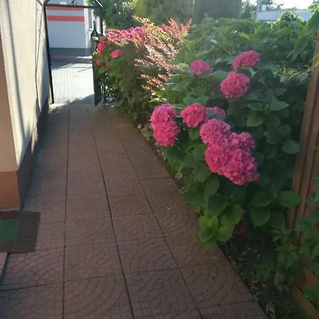 Rum i privatbostad Patio Stegna (Pomerania)