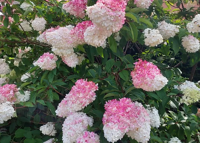 Rum i privatbostad Patio *