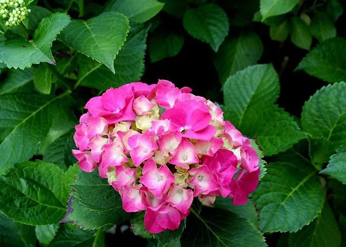 Rum i privatbostad Patio Stegna (Pomerania)