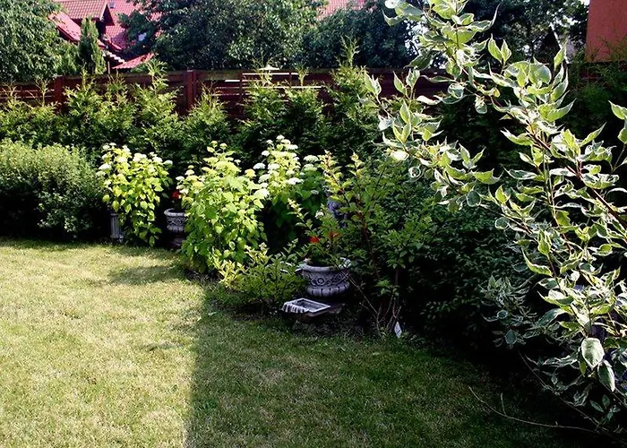 Patio * Stegna (Pomerania)