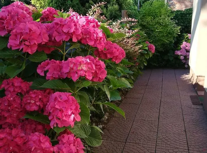 Rum i privatbostad Patio Stegna (Pomerania)