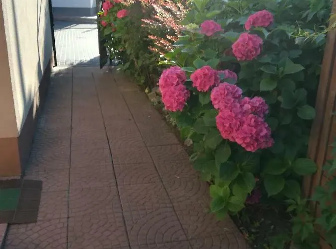 Rum i privatbostad Patio Stegna (Pomerania)